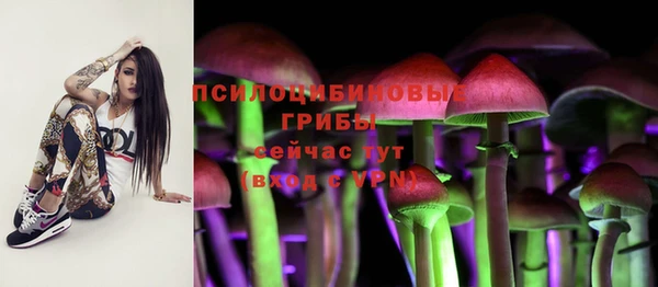 бутират Кинешма