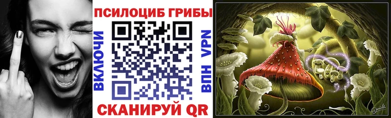 Псилоцибиновые грибы Psilocybe Киров